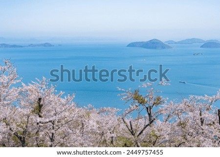 picture of mt.shiude, famous for its beautiful cherry blossoms and the Seto Inland Sea in Mitoyo City, Kagawa Prefecture