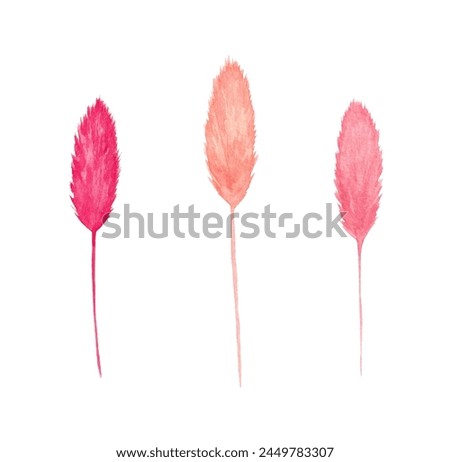 Hand Drawn Watercolor Set with Pink Spikelets. Flower Clip Art. Decorative Elements for Decor and Scrapbooking