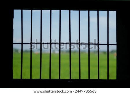 The prisons iron bars with a refreshing view beyond Royalty-Free Stock Photo #2449785563