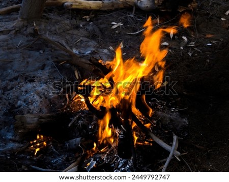 Abstract Artistic Fire Photography, Photo is selective focus with shallow depth of field. Taken at Cairo Egypt.