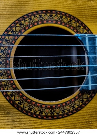 Guitar with 6 strings. The guitar is a stringed musical instrument that is played by plucking, generally using the fingers or a plectrum