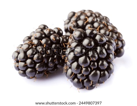 Three ripe blackberries isolated on white background
