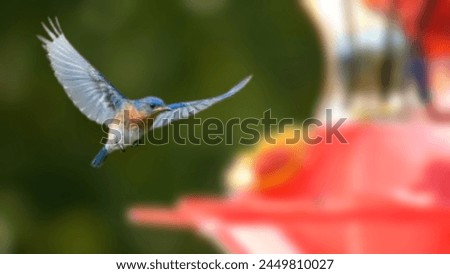 Beautiful image of a flying bird with a blur | A picture of a bird