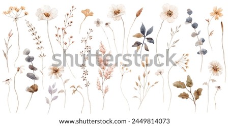 Beautiful floral set with watercolor hand drawn gentle autumn fall flowers. Stock floral illustration. Nature clip art.
