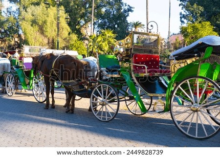 Tourists and locals ride in horse-drawn carriages through vibrant streets Marrakech, authentic and lively city life African kingdom Morocco, Authentic experience Royalty-Free Stock Photo #2449828739