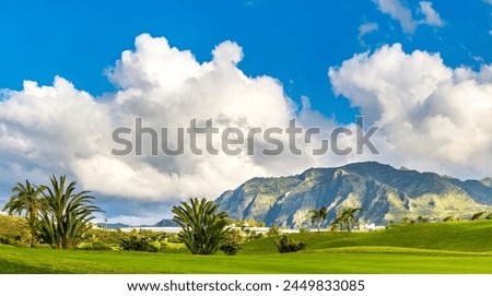 Amazing view of green lawn of a golf course with palm trees, mountains on the background. Location: Buenavista del Norte, Tenerife, Canary Islands. Artistic picture. Beauty world. Panorama
