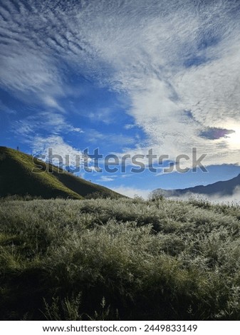 Beautiful nature scenery of blue skies, green hill, morning dew, and fresh grass