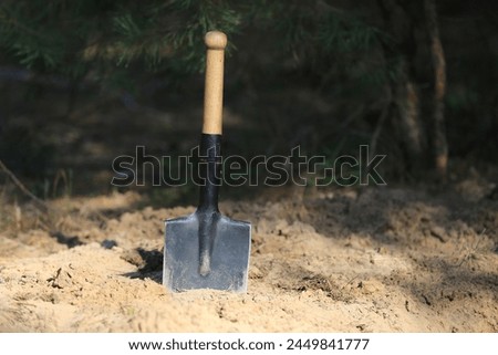 sapper shovel in the sand in a pine forest