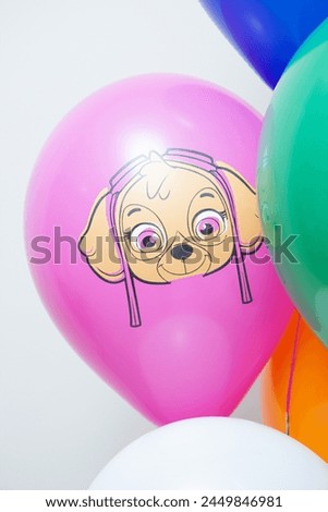 latex balloons with dog image