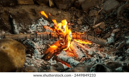 Close up picture of a small campfire