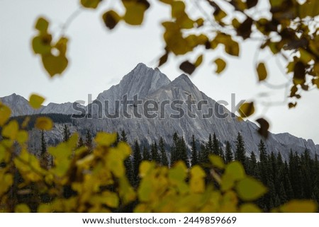 View of Mount Ishbel from the road to Ink Pots, surrounded by autumn leaves