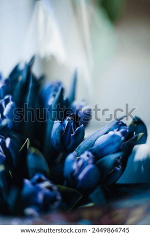 A beautiful bouquet featuring stunning blue tulips, perfect for adding a touch of elegance and charm to any occasion