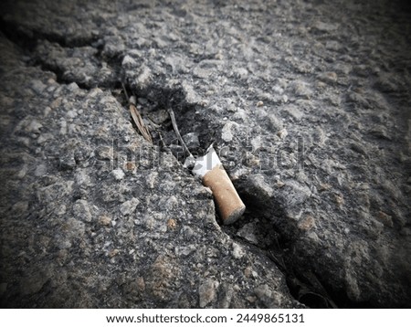 Cigarette butt on the ground. Concept of quitting smoking.          