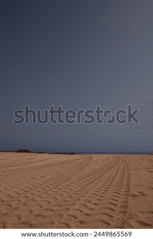 arenas del desierto con un cielo azul despejado y sin nubes  Royalty-Free Stock Photo #2449865569