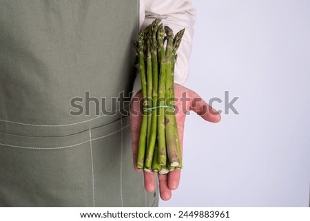 Green asparagus in the hands of a men. Bunch of ripe fresh asparagus. Healthy organic food. Cooking in home. Natural vitamins, raw ingredient for eating. Handpicked bio asparagus Royalty-Free Stock Photo #2449883961