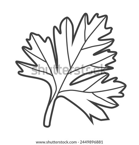 Linear icon of parsley. Black and white vector illustration.