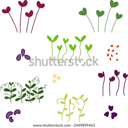Seeding microgreen hand drawn clip art, vector micro green, healthy eating, home gardening, organic food, colorful vector clip art