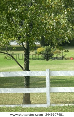 White wooden fence, green grass lawn, tree. Summer day. Large well kept property.  Royalty-Free Stock Photo #2449907481