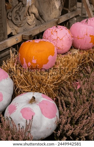 Exterior Beautiful atmospheric halloween pink pumpkins decorated on porch. Autumn leaves and fall flowers celebration holiday Thanksgiving October season