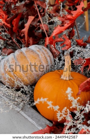 Exterior Beautiful cozy atmospheric halloween pumpkins decorated on porch. Autumn leaves and fall flowers holiday Thanksgiving October season outdoors in city