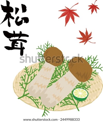 Vector illustration of two matsutake mushrooms on a colander, a Japanese autumn delicacy. Royalty-Free Stock Photo #2449988333