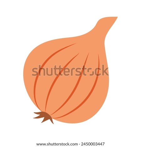 Yellow onion isolated on transparent background. Whole onion. Vector illustration of vegetables in flat style. Royalty-Free Stock Photo #2450003447