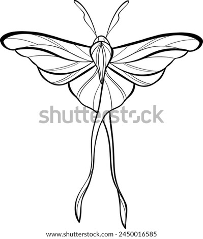 Minimalist Butterfly Vector line art, abstract drawing, decorative outline contour insect, exotic clip art