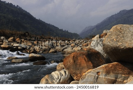 terai-dooars region of west bengal at dudhia. beautiful mountain stream (balason river) flowing through the valley, himalaya foothills area in india Royalty-Free Stock Photo #2450016819