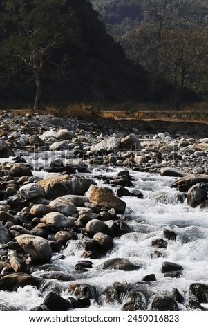 terai-dooars region of west bengal at dudhia. beautiful mountain stream (balason river) flowing through the valley, himalaya foothills area in india Royalty-Free Stock Photo #2450016823