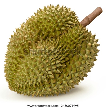 Fresh durian isolated on white background, Durian fruit isolated on white background With clipping path.