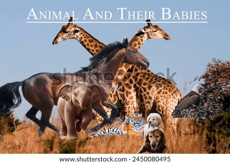 animal and their babies picture in all
