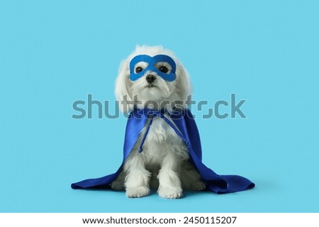 Cute little dog in superhero costume on blue background