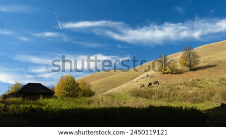 Three horses grazing on a pasture located on a hillside near an old, log sheepfold. Autumn season. Traditional farming. Carpathia, Romania Royalty-Free Stock Photo #2450119121