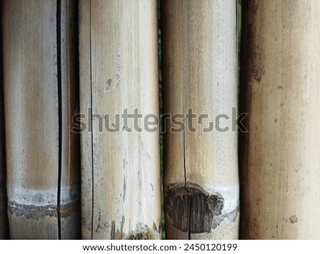 dry bamboo tree trunks in four rows with a brownish color Royalty-Free Stock Photo #2450120199