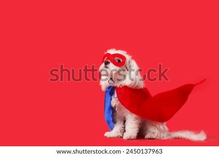 Cute little dog in superhero costume on red background