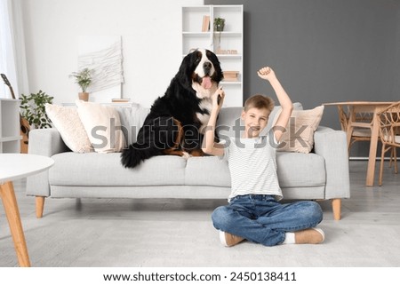 Little boy with Bernese mountain dog watching TV at home