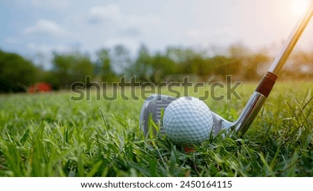 Golf ball and golf club in a beautiful golf course in Thailand. Collection of golf equipment resting on green grass with green background                                                  