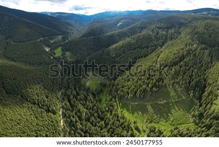 Drone view above Sadu valley. Sadu river flowing along wild coniferous forests through green pastures. Cindrel mountain peaks are raising impetuous to the clouded sky. Sunny day, Carpathia, Romania Royalty-Free Stock Photo #2450177955