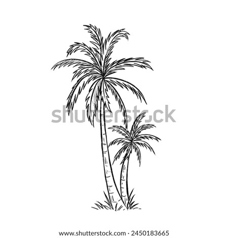 Palm tree hand drawn clip art, Line art, Hand drawn sketch, Black and white art, Clip art