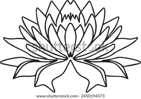 vector - contour waterlily isolated on white background