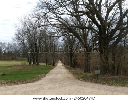 Rural photography taken in southwest Michigan, April 2024