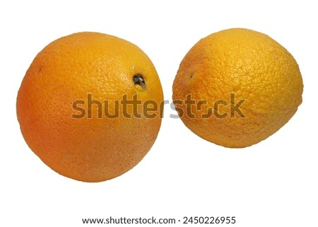 ripe citrus pair: navelina orange with small round depression, that has little oranges, in smooth peel, and smaller orange with wrinkled peel, isolated on white background Royalty-Free Stock Photo #2450226955