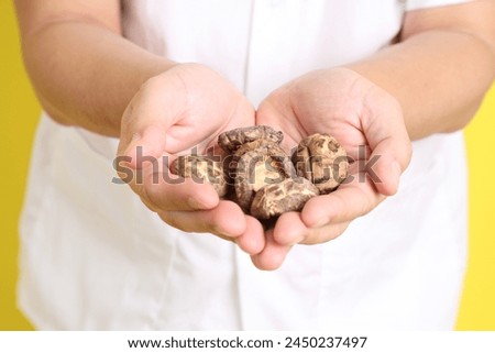 Chinese Vegetarian Festival. Senior man dress in white color with gesture of hand holding Dried Shiitake mushrooms  isolated on yellow background. Nine emperor god, J festival. Royalty-Free Stock Photo #2450237497
