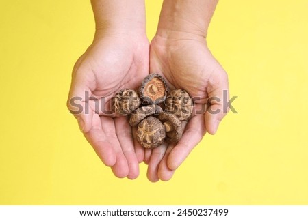 Chinese Vegetarian Festival. Senior man dress in white color with gesture of hand holding Dried Shiitake mushrooms  isolated on yellow background. Nine emperor god, J festival. Royalty-Free Stock Photo #2450237499