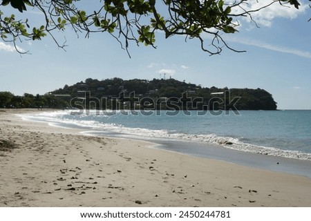 A romantic picture of the pale blue sea and sandy beach visible under a leafy tree branch on the coast of the Caribbean island of Saint Lucia, near the port town of Castries.    