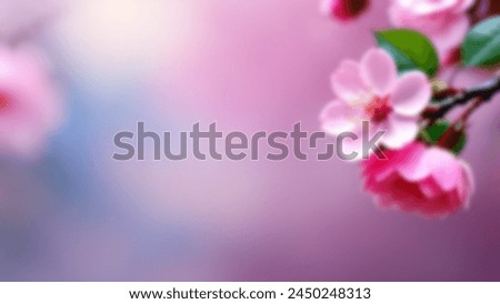Defocus abstract blurred background of the sakura flower