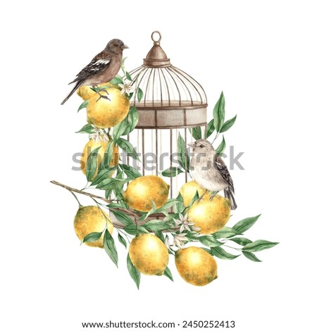 Branch with lemons and leaves, realistic birds and copper vintage cage. Isolated watercolor illustration in vintage style. Composition for interior, cards, wedding design, invitations, textiles
