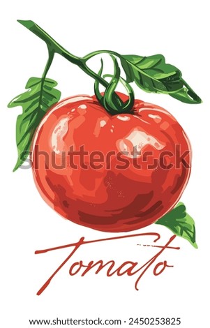 Tomato with leaves watercolor vegetable. Healthy vegan food, Tomato clip art vector for Poster, Prints, Cards and Pattern
