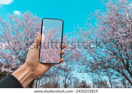 Capturing the delicate beauty of cherry blossoms with a smartphone camera, technology merges with nature in stunning photos of springtime.