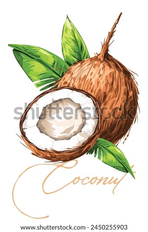 Coconut with leaves watercolor fruits. Healthy vegan food, Clip art vector for Poster, Prints, Cards and Pattern